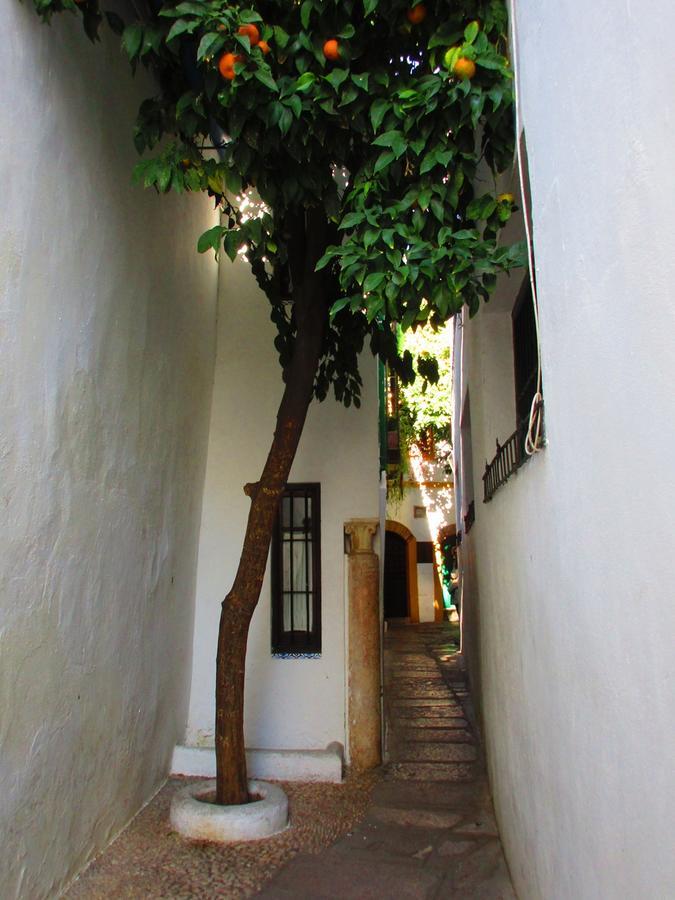Cordoba Con Encanto Lubi I Exterior photo